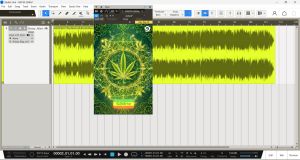 RASTA 528Hz