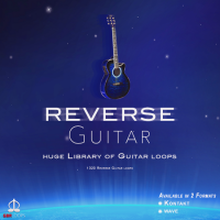 Reverse Guitar