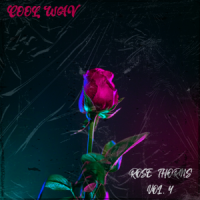 Rose Thorns Vol. 4 - DS Thorn