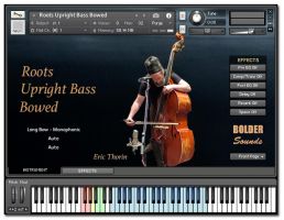 Roots Upright Bass