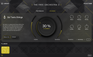 The Free Orchestra 2