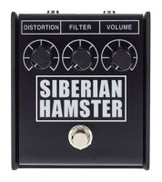 Siberian Hamster