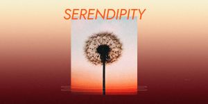 Serendipity
