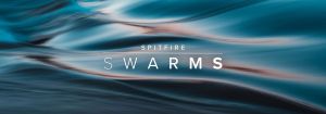 Swarms