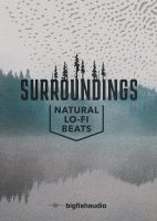 Surroundings: Natural Lo-fi Beats