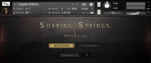 Soaring Strings