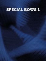 Berlin Strings Special Bows 1