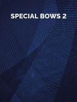 Berlin Strings Special Bows 2