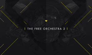 The Free Orchestra 2