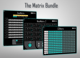 Matrix Bundle