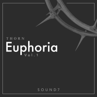 DS Audio Thorn - Euphoria Vol. 1