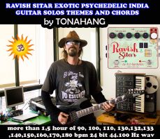 Ravish Sitar Electric Guitar Solos and Chords Sample Library by Tonahang