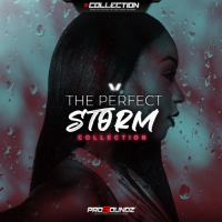 The Perfect Storm Collection (Kontakt Library Included)