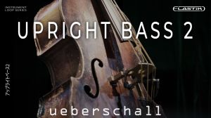 Upright Bass 2