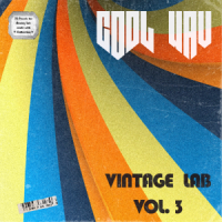 Vintage Lab Vol. 3 - Analog Lab