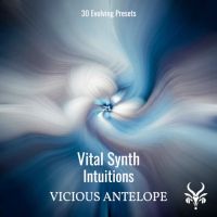 Intuitions - Vital Presets