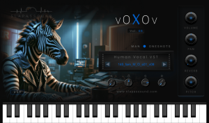 VoXoV vol.08 &ndash; Human Vocal VST