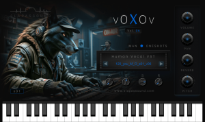 VoXoV vol.06 &ndash; Human Vocal VST