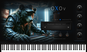 VoXoV vol.05 - Free Vocal VST