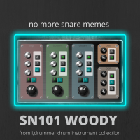 SN101 WOODY