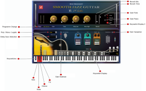 Smooth Jazz guitar