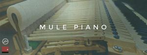Mule Piano