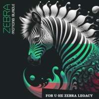 Zebra Motions Bundle